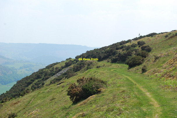 Photo 6"x4" Track of the former Tramffordd Llantysilio Llandynan c2010