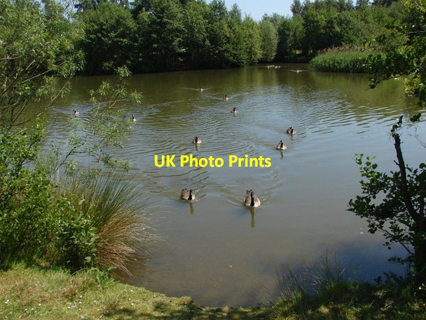 Photo 6"x4" Hillswood Business Park Addlestone c2010