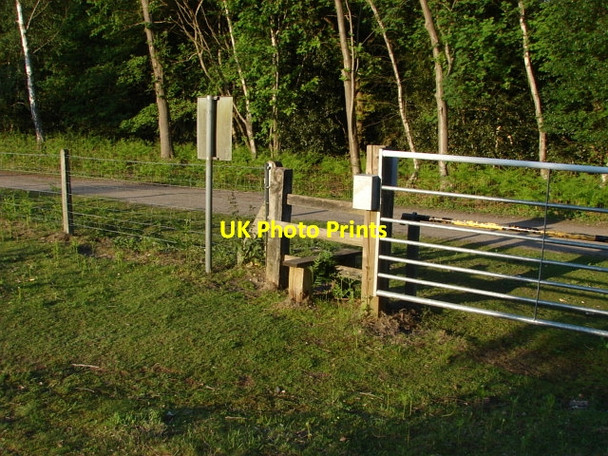Photo 6"x4" Ash Ranges Pirbright Camp c2010