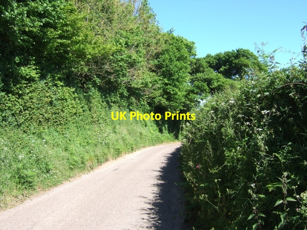 Photo 6"x4" Hawkerland Road, near Hawkerland Goosemoor\/SY0689 c2010