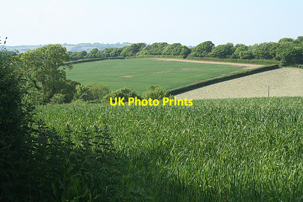Photo 6"x4" Holcombe Burnell: above the barton Longdown\/SX8691 c2010