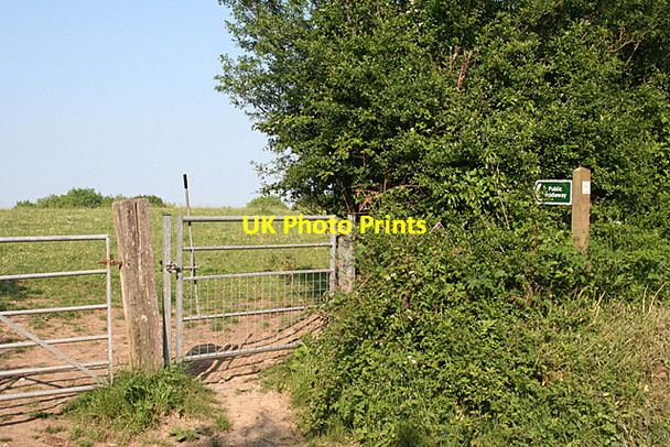 Photo 6"x4" Whitestone: bridleway to the village Longdown\/SX8691 c2010