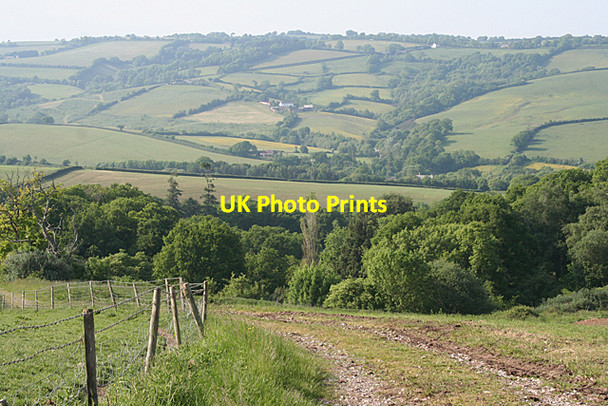 Photo 6"x4" Whitestone: near Beacon Down Corner Longdown\/SX8691 c2010