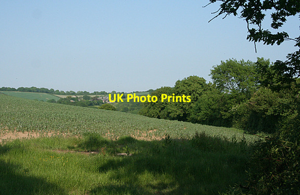 Photo 6"x4" Holcombe Burnell: on Garden Down Bilsdon c2010