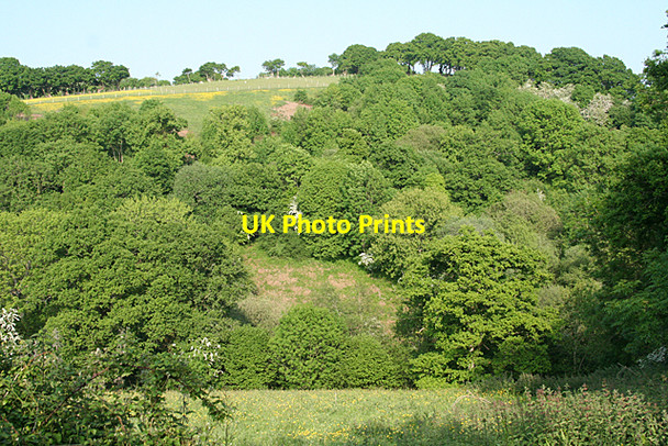 Photo 6"x4" Holcombe Burnell: above Rughouse Bilsdon c2010