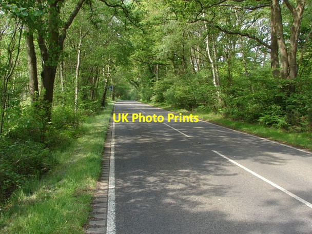 Photo 6"x4" Smarts Heath Road Prey Heath c2010