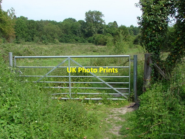 Photo 6"x4" Saunders Lane, Mayford Woking c2010