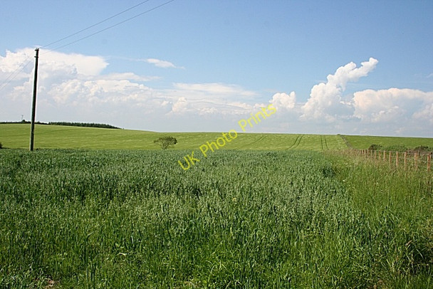 Photo 6"x4" Near Cowieshillock New Byth c2009