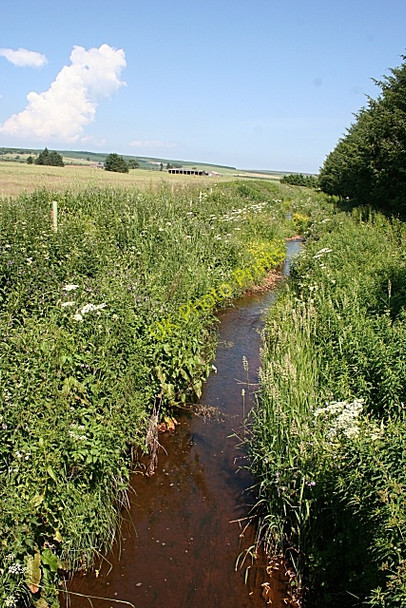 Photo 6"x4" Burn of Byth New Byth c2009