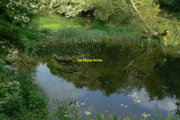 Photo 6"x4" Red River Nature Area Heanor c2010