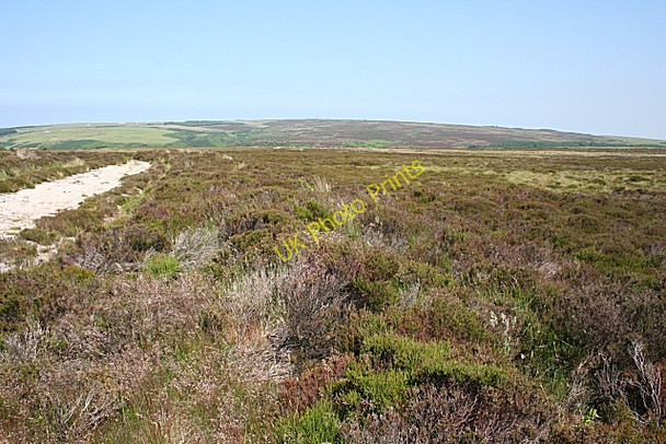 Photo 6"x4" Bracklamore Hill Netherbrae c2009 P1