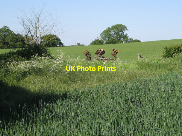 Photo 6"x4" Disc harrow and dead elm  Radford Semele c2010