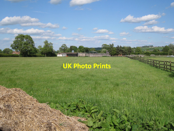 Photo 6"x4" Paddocks near Highthorn  Ufton c2010
