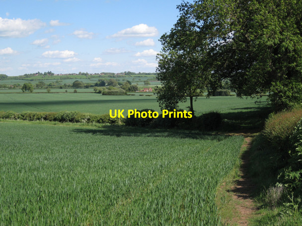 Photo 6"x4" Field corner, northeast flank of Crown Hill Radford Semele c2010