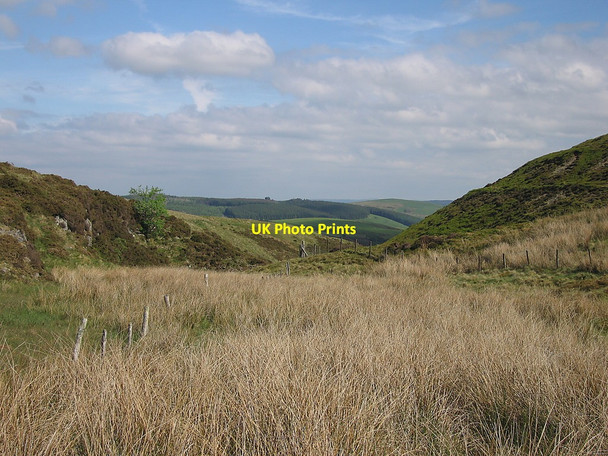 Photo 6"x4" Nant Ddeiliog Dylife c2010