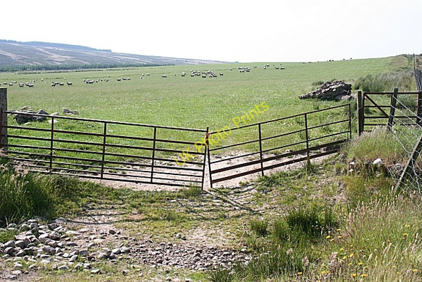 Photo 6"x4" Bracklamore Hill Bracklamore Hill c2009