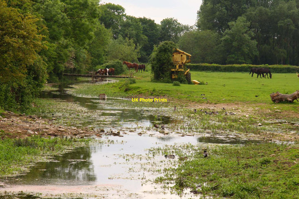 Photo 6"x4" The River Thames at Ewen Ewen c2010