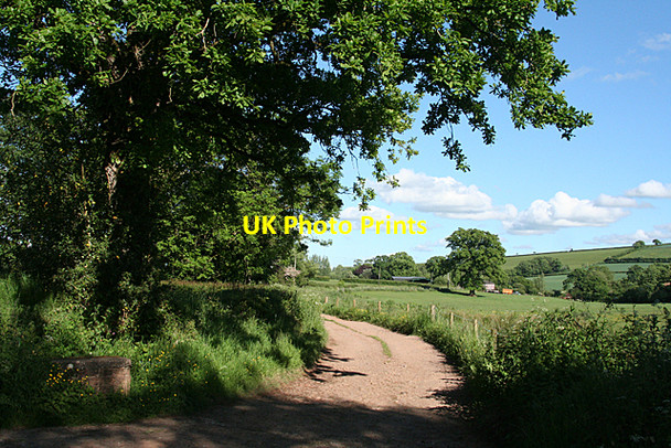 Photo 6"x4" Halberton: entrance to Kettlewell Ash Thomas c2010
