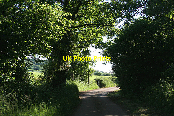 Photo 6"x4" Halberton: by Cruwyshayes Ash Thomas c2010