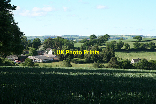 Photo 6"x4" Halberton: Sutton Barton Brithem Bottom c2010