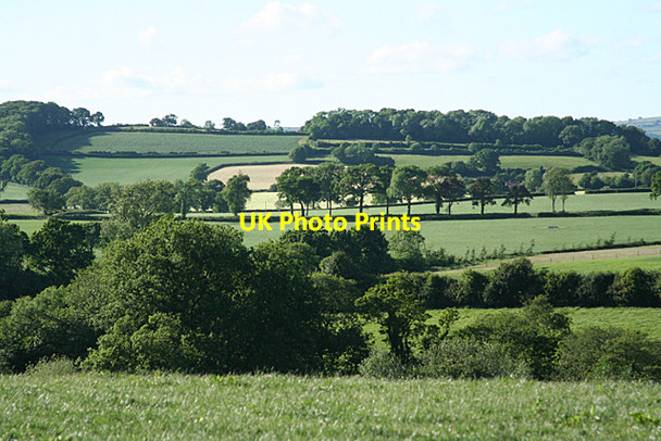 Photo 6"x4" Halberton: towards Cloggs Hill Ash Thomas c2010