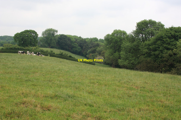 Photo 6"x4" Field by Manor House farm, Crathorne Crathorne c2010