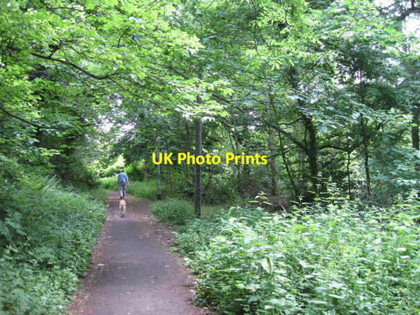 Photo 6"x4" Footpath to Brook Road, Cheadle Cheadle\/SJ8688 c2010