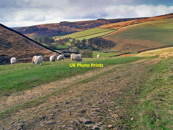 Photo 6"x4" Roman Road, Glossop Old Glossop c2006