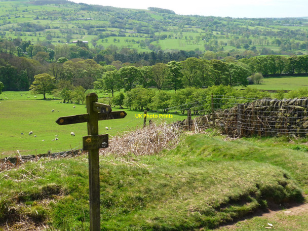 Photo 6"x4" Footpath junction near Hanging Stone Allgreave c2009