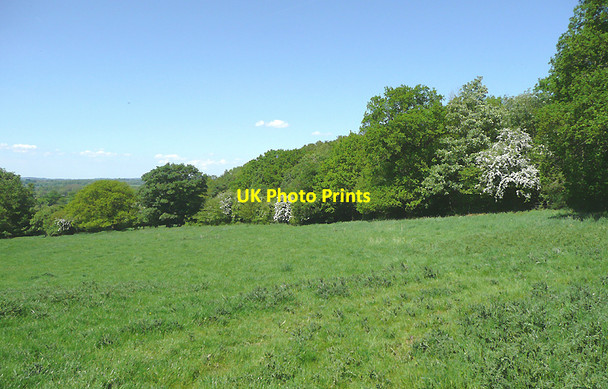 Photo 6"x4" Pasture south-west of Broadhill, Staffordshire Beffcote c2010