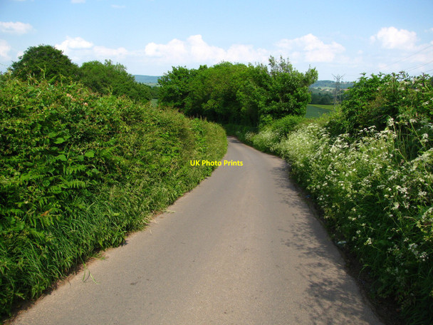 Photo 6"x4" Malthouse Lane among the Hedges Caerleon or Caerllion c2010