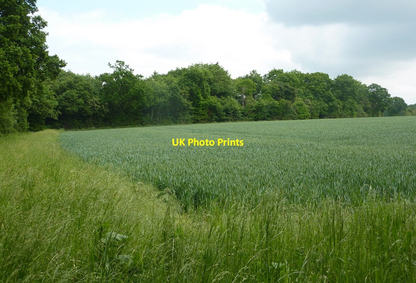 Photo 6"x4" Field corner Broad Street\/TL9643 c2010