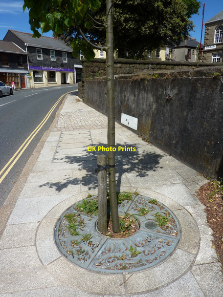 Photo 6"x4" Ornamental tree surround, Station Road, Redruth Redruth c2010