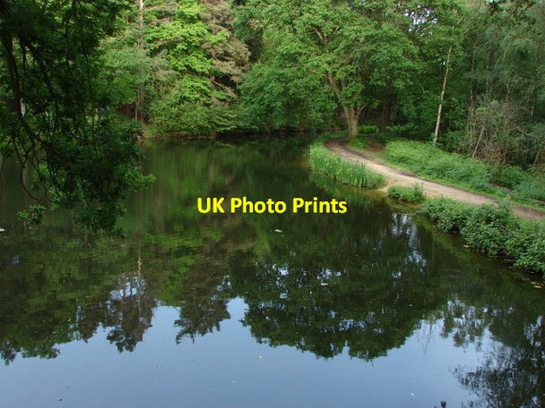 Photo 6"x4" Basingstoke Canal Pirbright Camp c2010