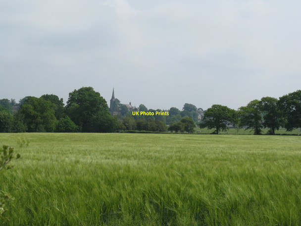 Photo 6"x4" Barley fields SW of Hurstpierpoint Bedlam Street c2010
