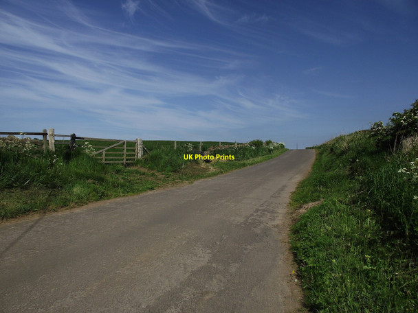 Photo 6"x4" Country Road Loftus c2010