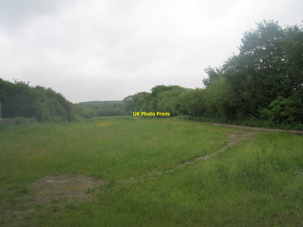 Photo 6"x4" Alongside the railway Crosby\/SE8711 c2010