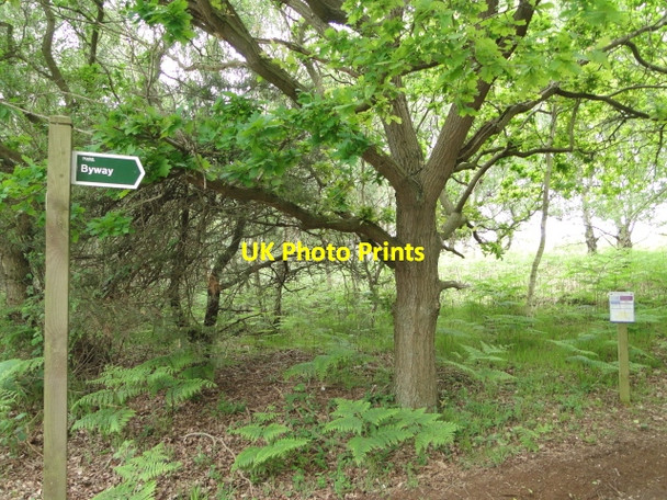 Photo 6"x4" Footpath through Brick Kiln Walks Westleton c2010