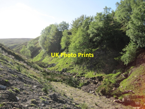 Photo 6"x4" Hut Burn, Knarsdale Common Slaggyford c2010