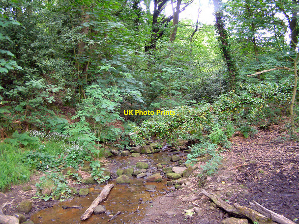 Photo 6"x4" Rivington Country Park Adlington\/SD6013 c2010