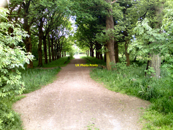 Photo 6"x4" Rivington Country Park Adlington\/SD6013 c2010 P2
