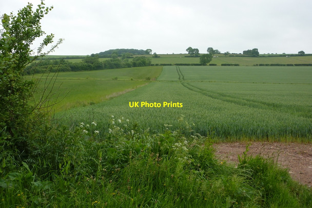 Photo 6"x4" Farming countryside Clarborough c2010