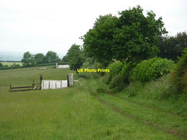 Photo 6"x4" Footpath towards Hayton Hayton\/SK7284 c2010