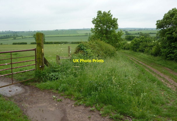 Photo 6"x4" Track junction east of Hayton Hayton\/SK7284 c2010