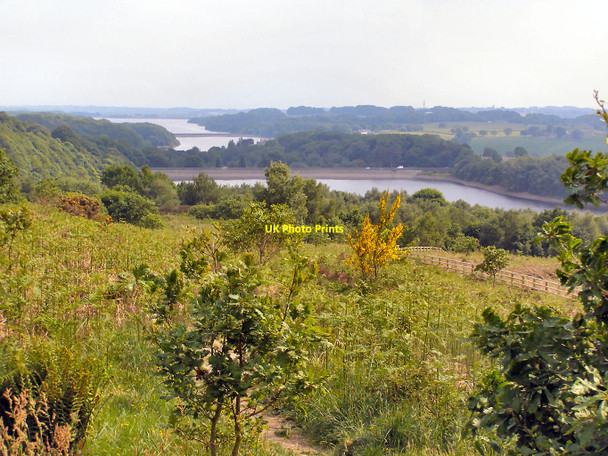 Photo 6"x4" Path from Anglezarke to Stones Bank Lane Ends\/SD6115 c2010