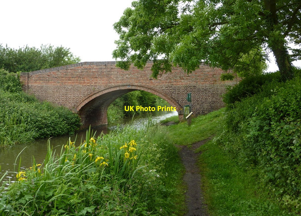 Photo 6"x4" Canal bridge no 63, near Hayton Church Hayton\/SK7284 c2010