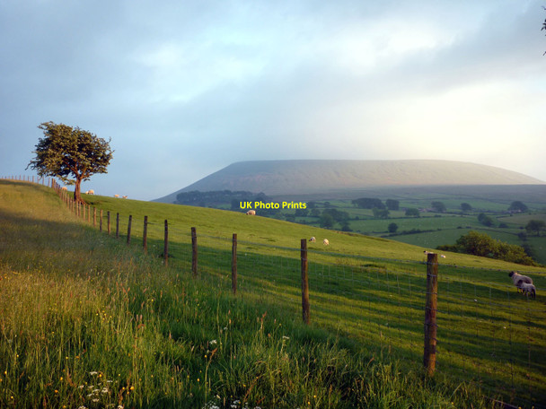 Photo 6"x4" Hay meadow above Twiston Beck Rimington c2010