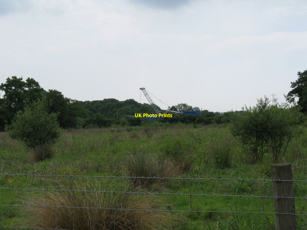 Photo 6"x4" Crane on the Firsland Park Estate High Cross\/TQ2417 c2010