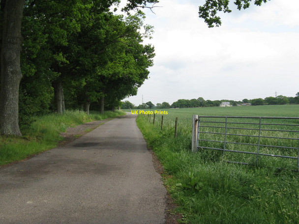 Photo 6"x4" Road from Morley Farm to the B2116 High Cross\/TQ2417 c2010