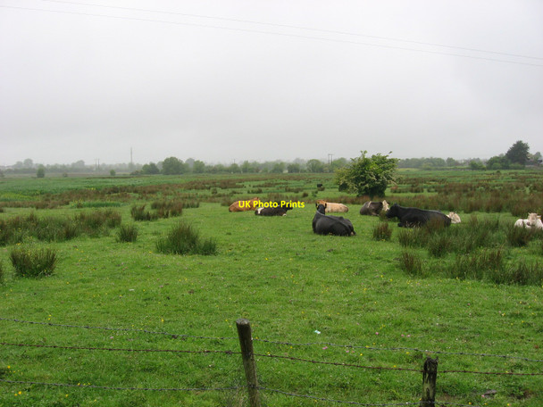 Photo 6"x4" The Commons of Duleek, Co. Meath Duleek c2010
